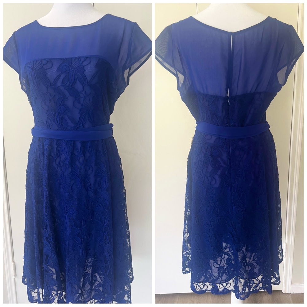 Dress Barn Signature | Royal Blue Lace Midi Dress
